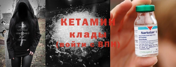 гидра Абаза