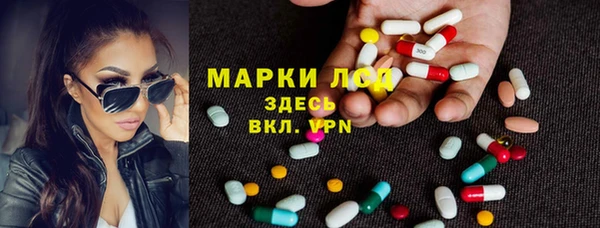 гидра Абаза