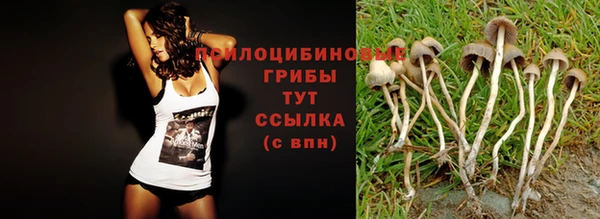наркотики Михайловка