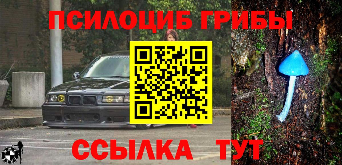 Псилоцибиновые грибы Psilocybine cubensis  Вход с VPN  Галлюциногенные грибы мицелий  наркошоп  Назрань 